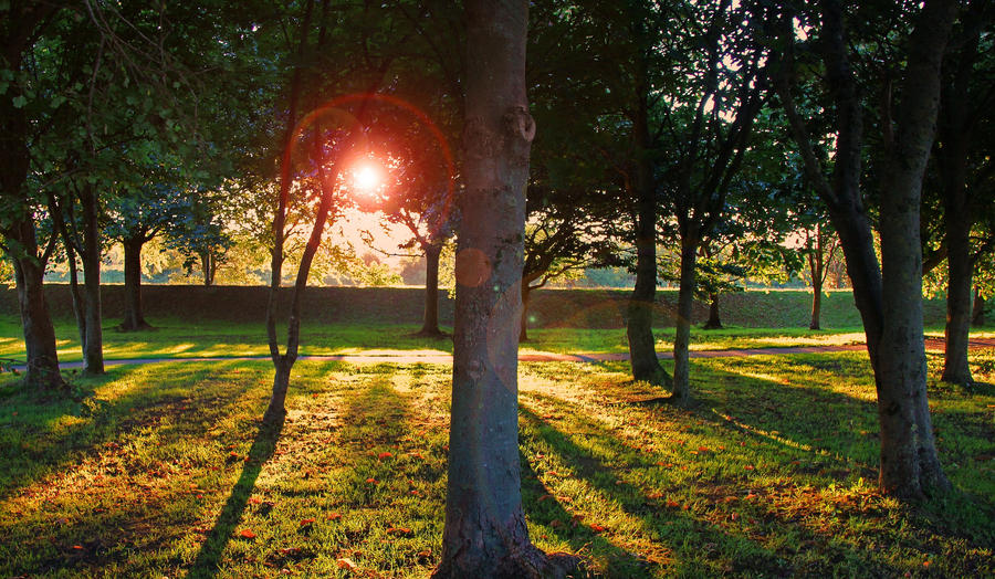 Casting Shadows