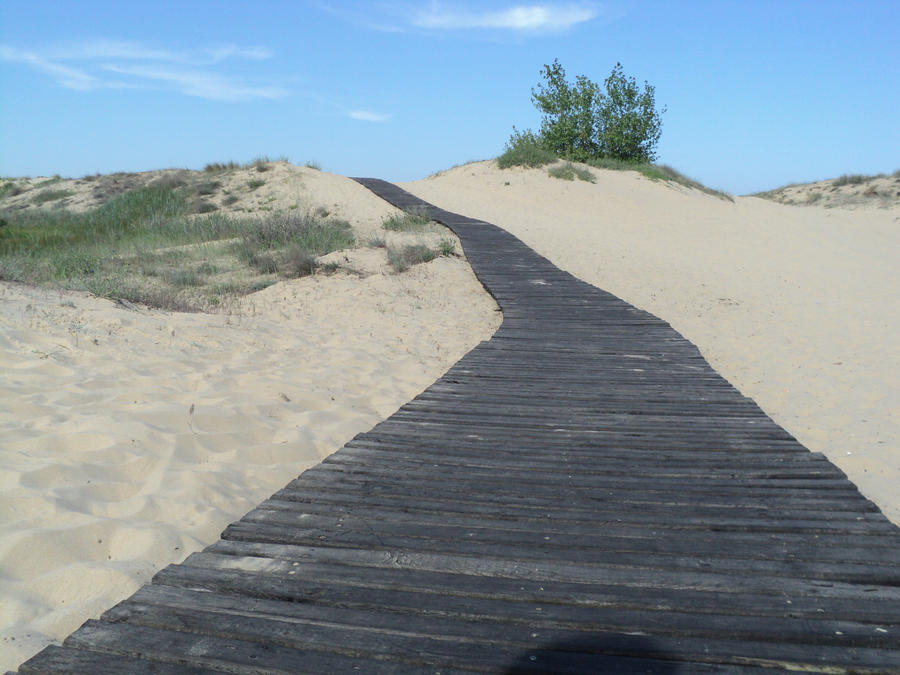 Sandy path by SieFly on DeviantArt