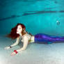 Mermaid Daydreamer