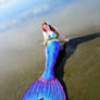 Mermaid by the Sea