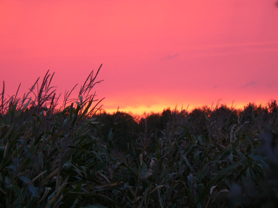 Windy dusk . . . .