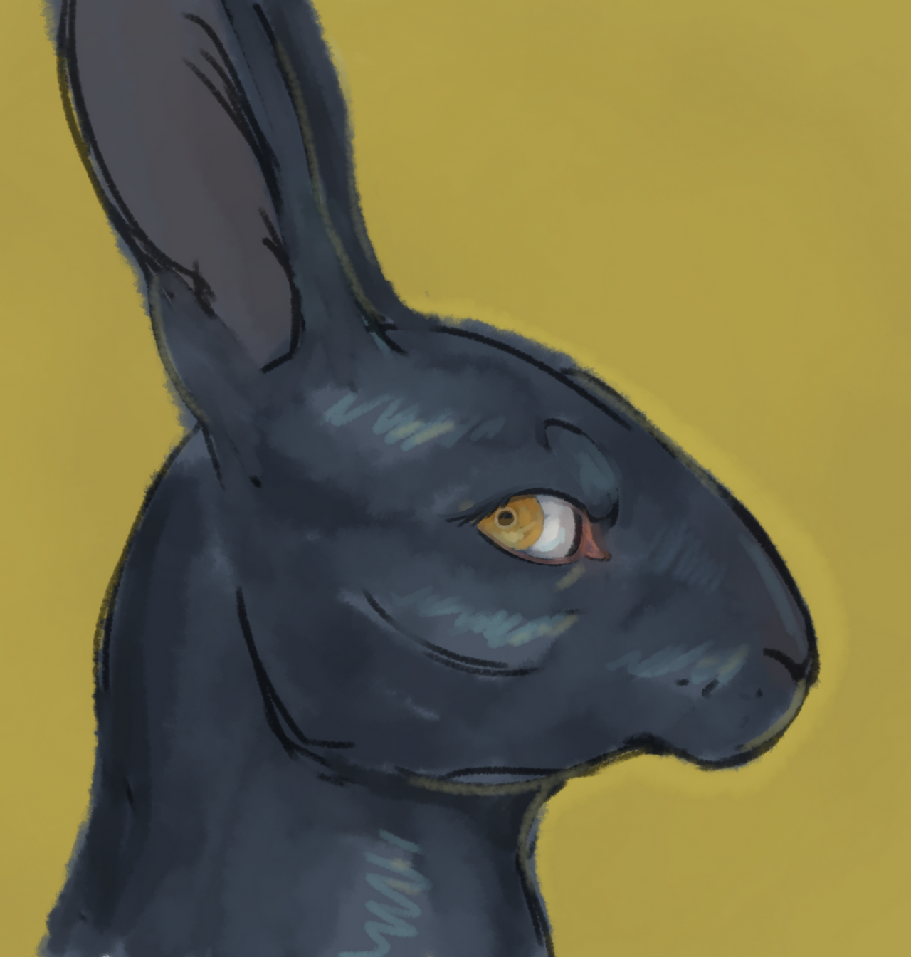 Black Rabbit by BeetleRotJack on DeviantArt
