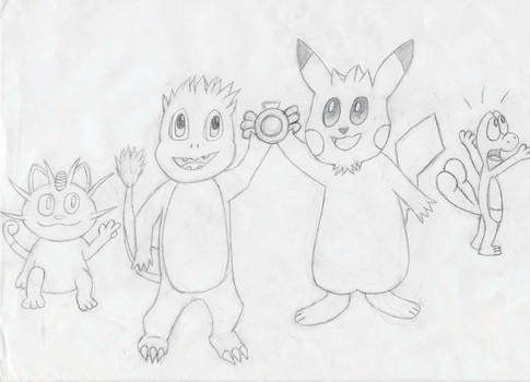 PMD Team Snapshot Sketch - WIP