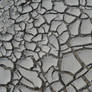 Mud Stock 1