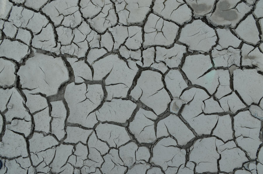 Mud Stock 4