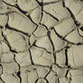 Mud Stock 8