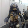 predator and marine