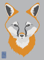 Grey Fox