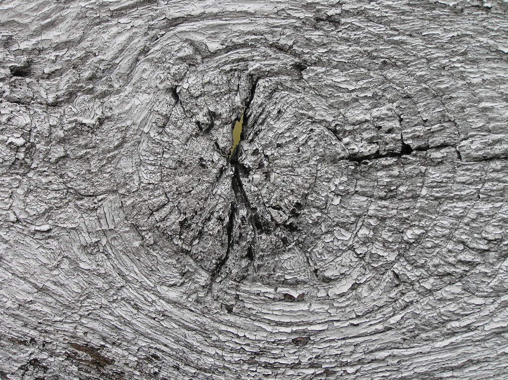 Whitewashed Fence Knot