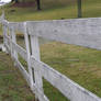 Whitewashed Fence