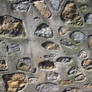 Rocky Wall