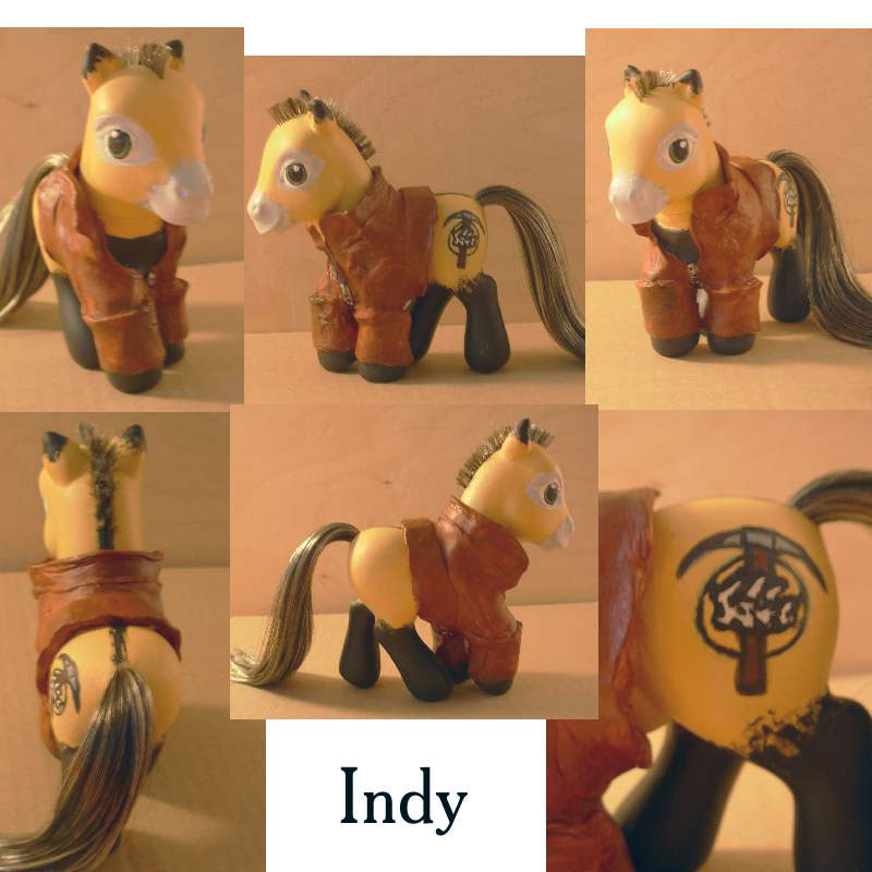 Indy the SVP Pony