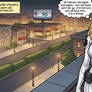 Vixen and Gray Fox