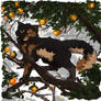 caaat is on the tree again