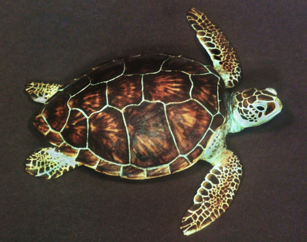 14. GREEN SEA TURTLE-Miniature Sculpture -Polymer 