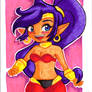 Shantae half genie hero :)