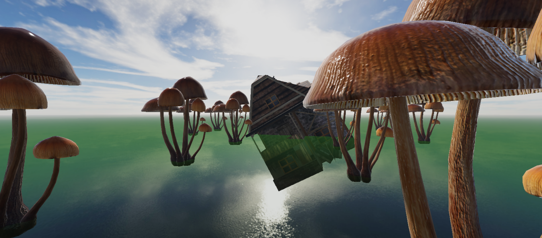Sunken House