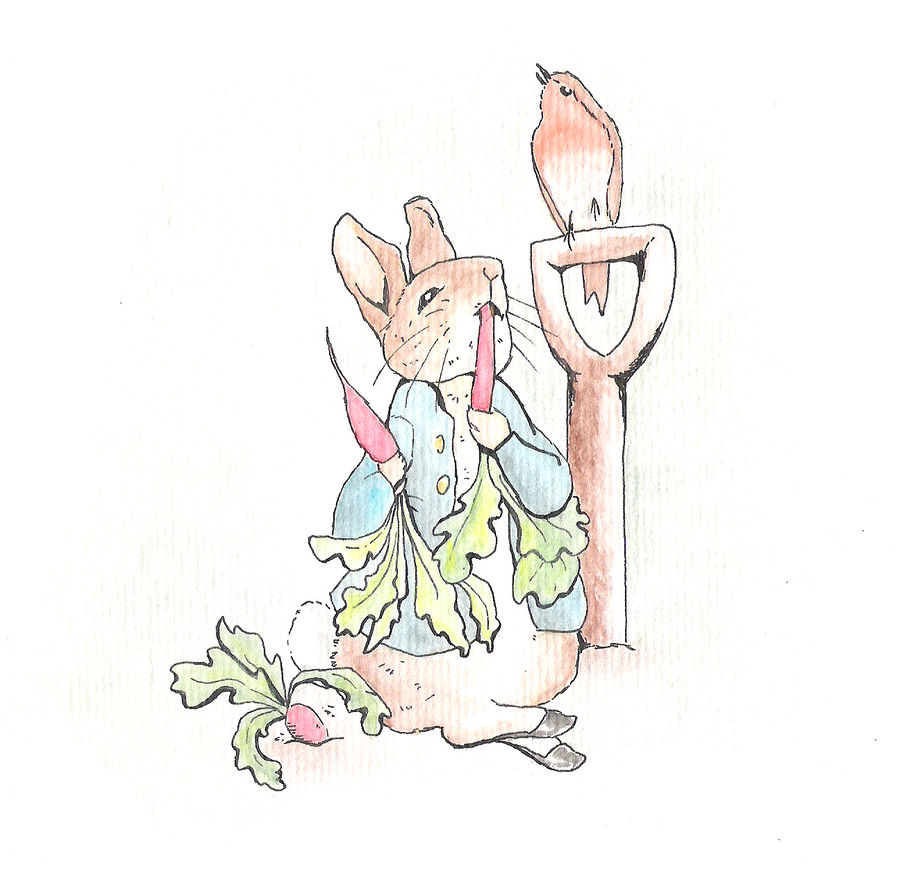 Peter Rabbit 02 by ichadoggi on DeviantArt