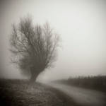 in the fog by BelcyrPiotr