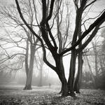 Entwined arms by BelcyrPiotr