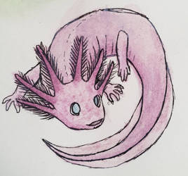 Smiley Axolotl
