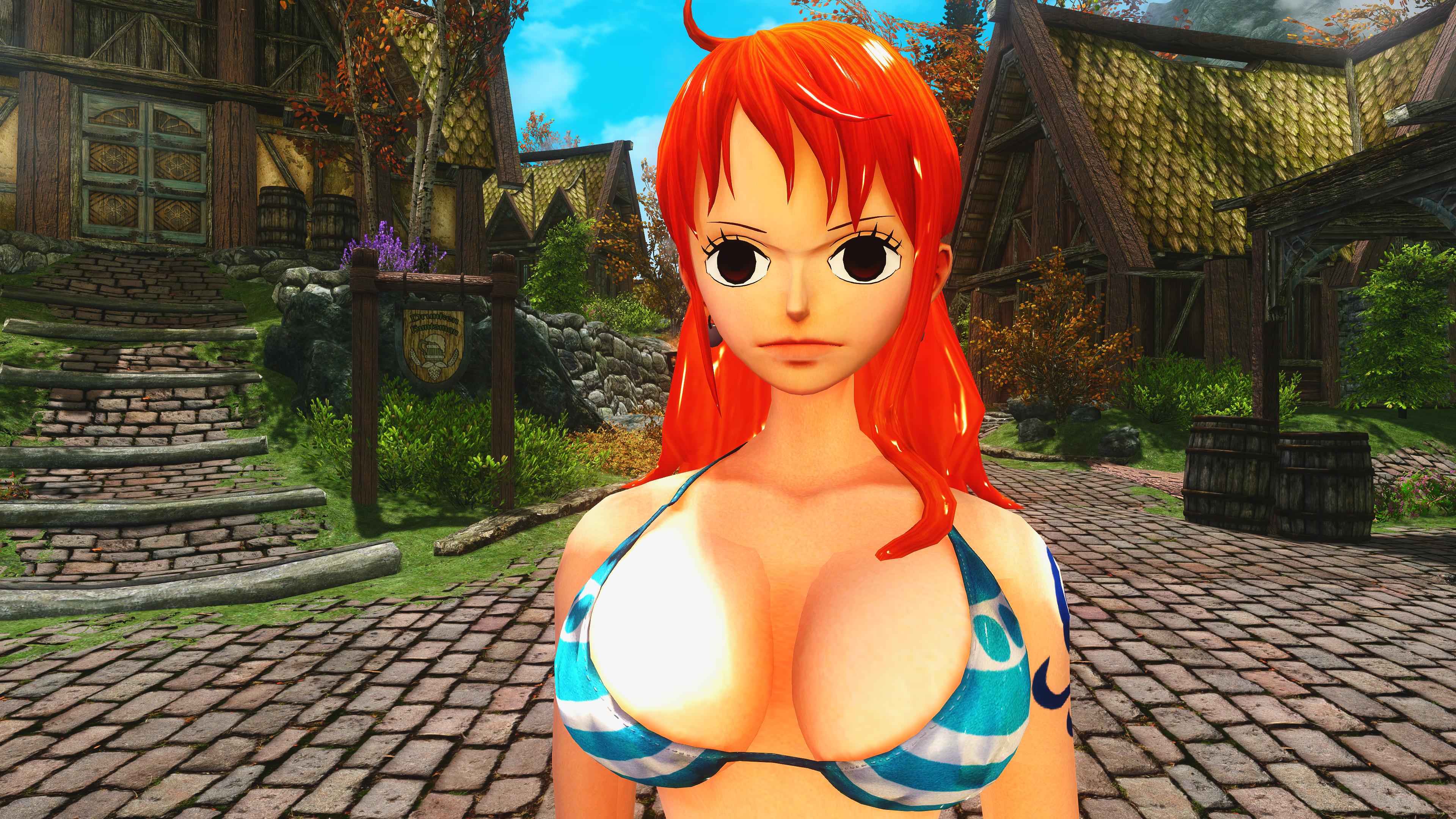 One Piece Pirate Warriors 3 Nami(Timeskip)Follower