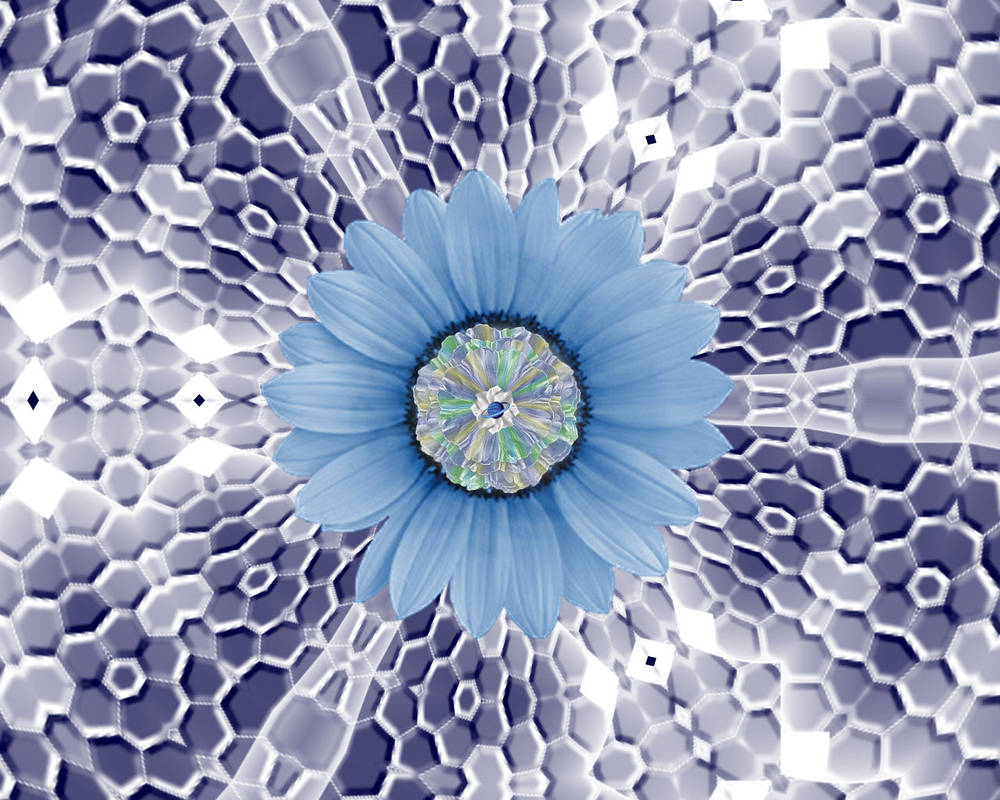 Orbit Flower ORBIT FLOWER by Lizzie51 on DeviantArt