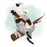 Banjo Opossum