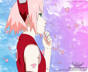 Sakura Blossoms Colored