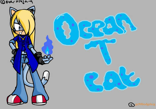 omg ocean T cat
