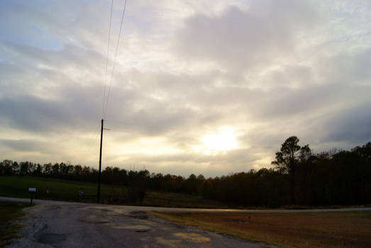 country road in the light