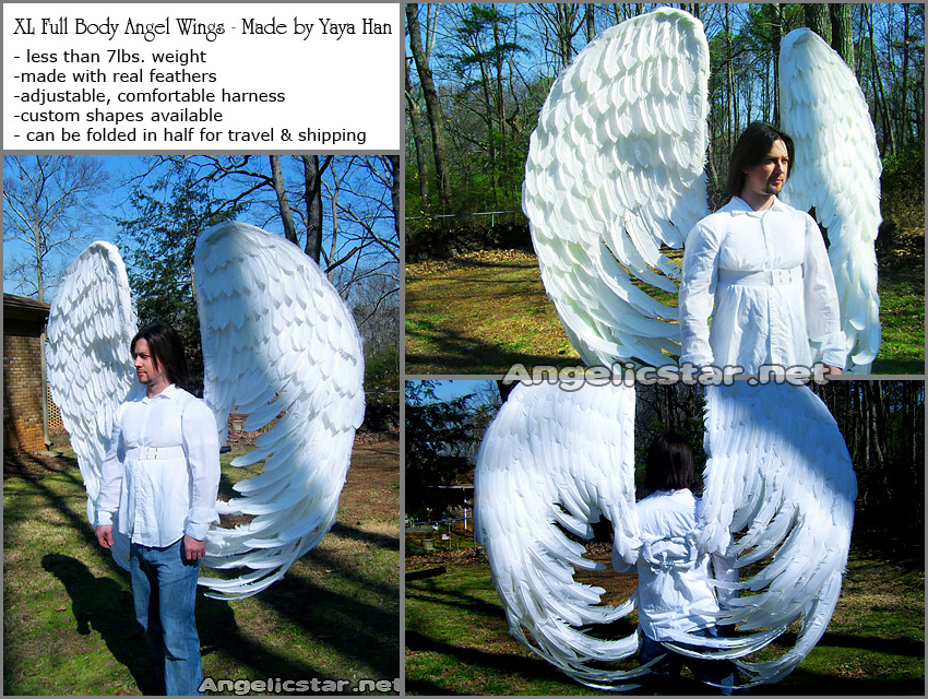 Commission: Angel Wings