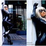 New version of Black Cat