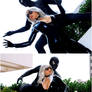 The Cat and the Spider