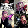 Butterfly Wings