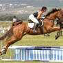 Horse jump