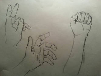 Hands Study