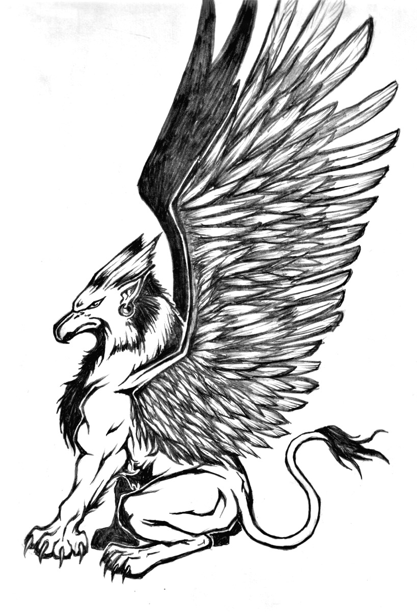 Griffon