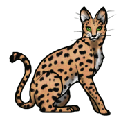 Howrse Companion: Savannah Cat by Javen