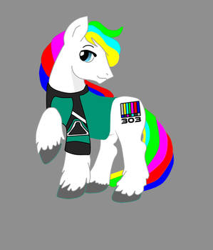 303boypony