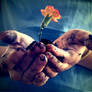 humble gift
