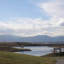 Park Lake Landscape Stock