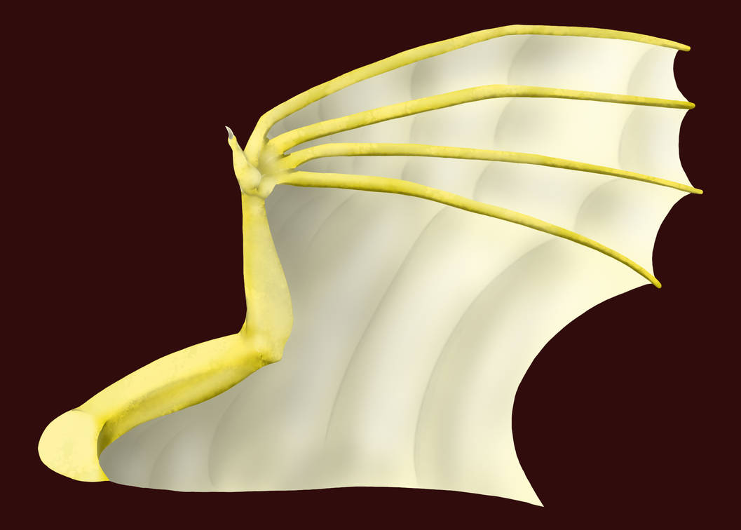 Dragon Wing Practice