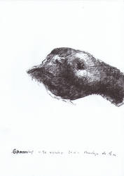 Goose Head - 20102011 by AEnigm4