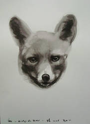 Fox Head - 16112011 by AEnigm4