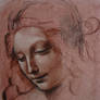 da Vinci - Study 2