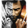 Wolverine 2 sketch