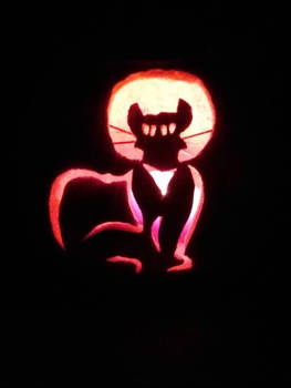 Chat Noir Jack o lantern