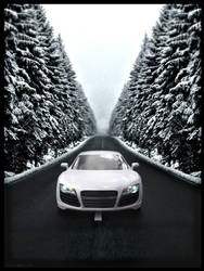 Snow Road