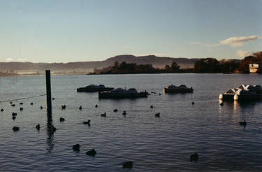 Lake Rotorua